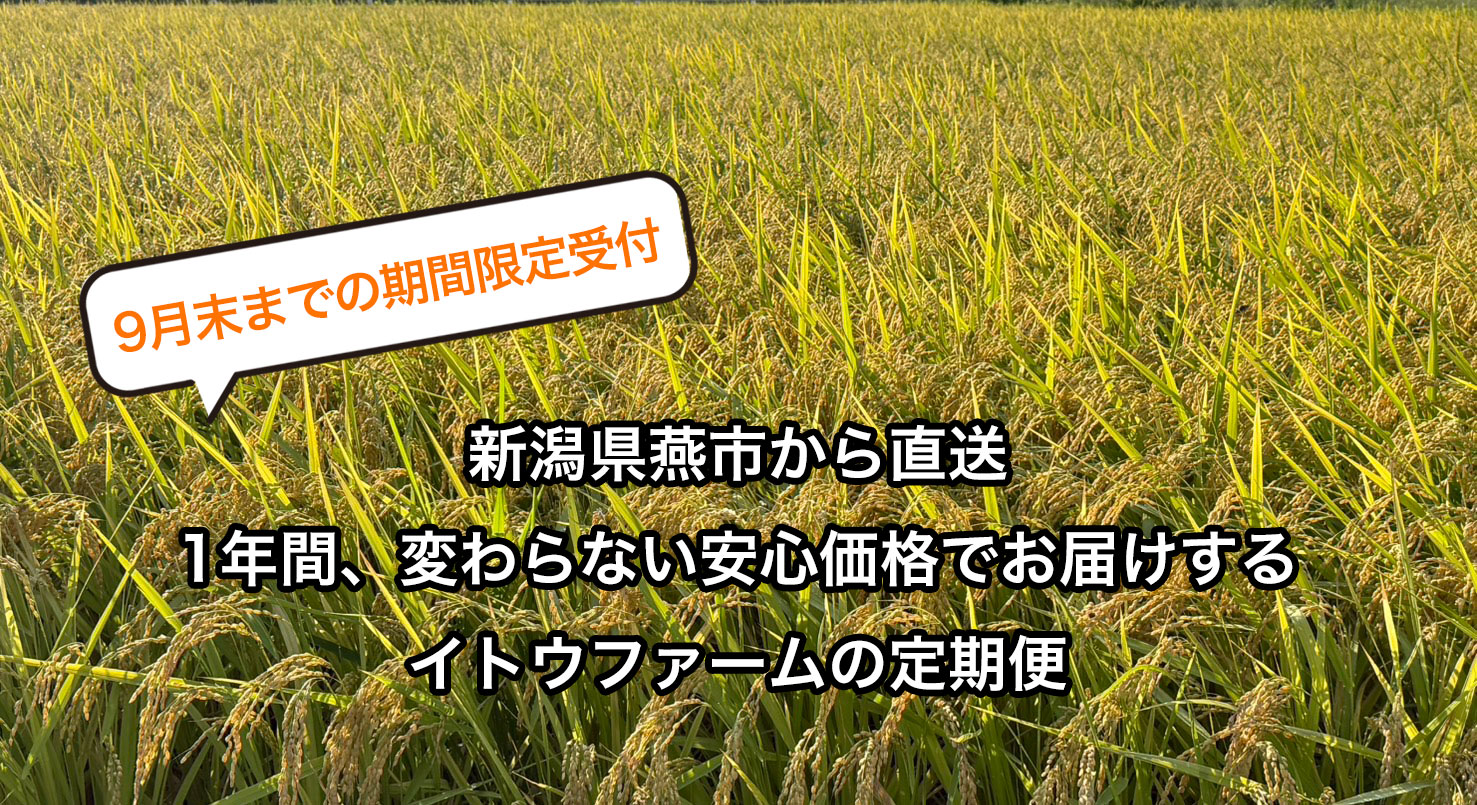お米の定期便